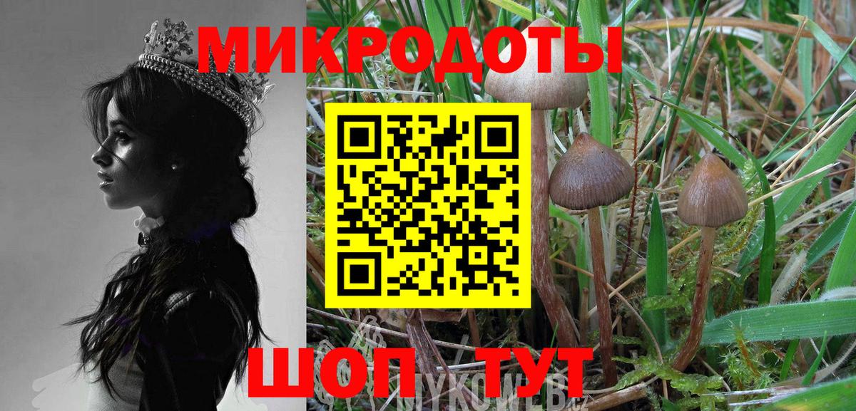 закладка  Вход с VPN  Галлюциногенные грибы GOLDEN TEACHER  Добрянка  Галлюциногенные грибы ЛСД 